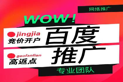 XX行业竞价广告的投放策略与效果分析